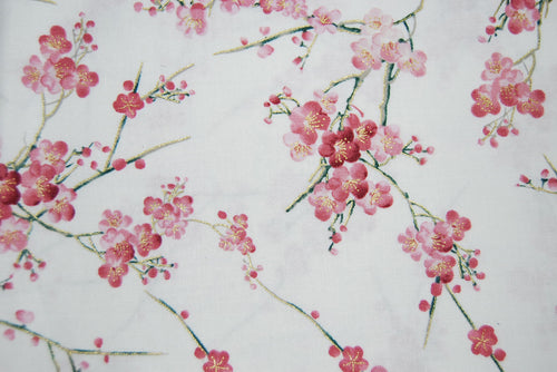 Sakura fond blanc (pas à vendre)